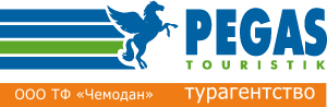Suitcase (Coral Travel) logo